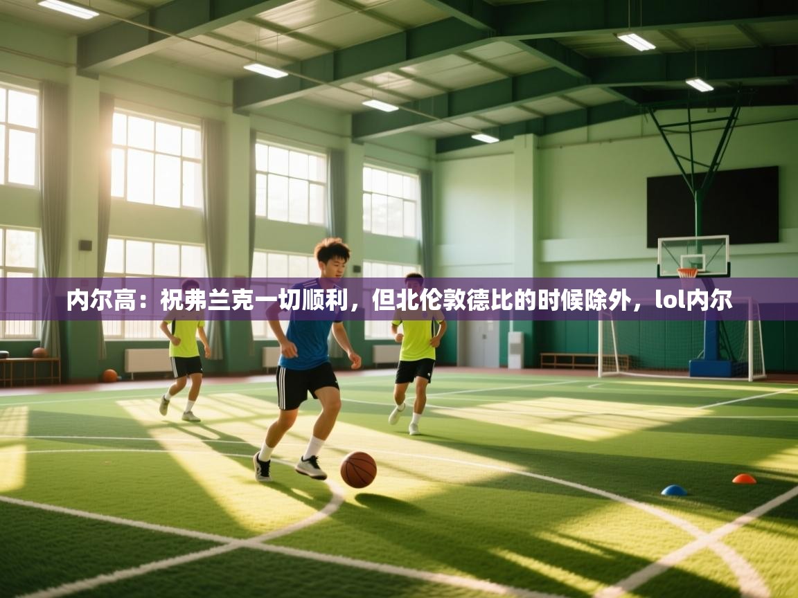 内尔高：祝弗兰克一切顺利，但北伦敦德比的时候除外，lol内尔