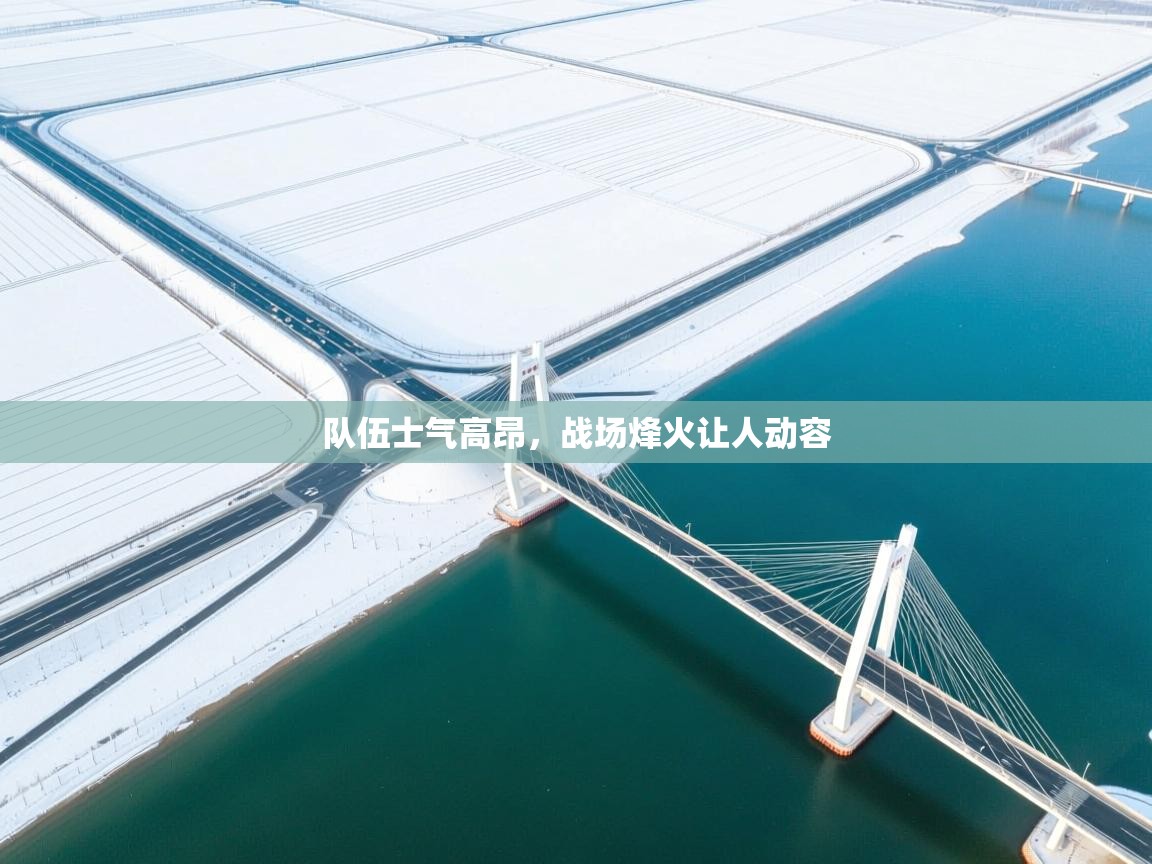 队伍士气高昂，战场烽火让人动容  第2张