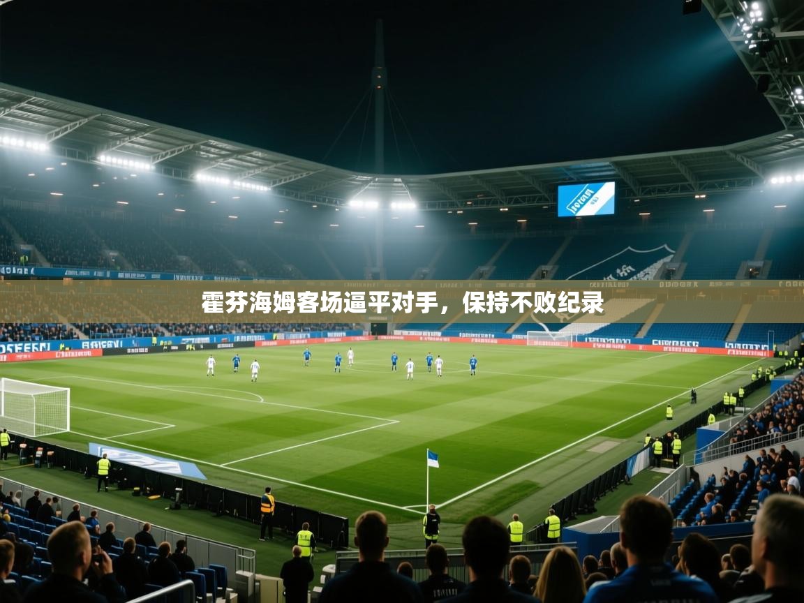 霍芬海姆客场逼平对手，保持不败纪录